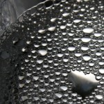 Photography by Nancy Bergstein Photography by Nancy Bergstein